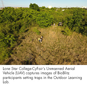 Aerial view of Bioblitz participants