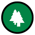 Tree icon