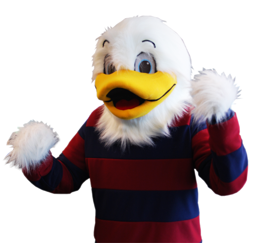 Duck Mascot