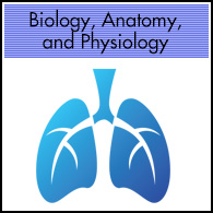 Biology, Anatomy, Physiology