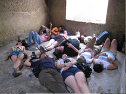 Study Abroad