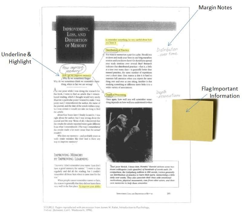 Textbook page with notes, highlights, and flags