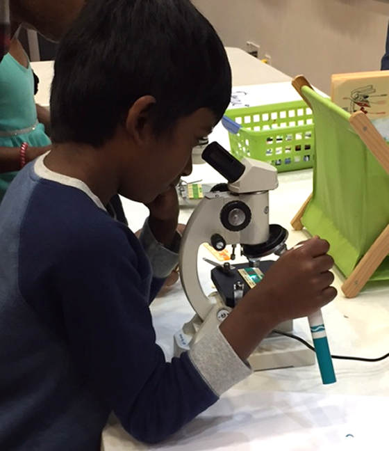 STEM Day activity