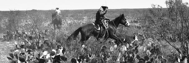 Vaquero: Genesis of the Texas Cowboy