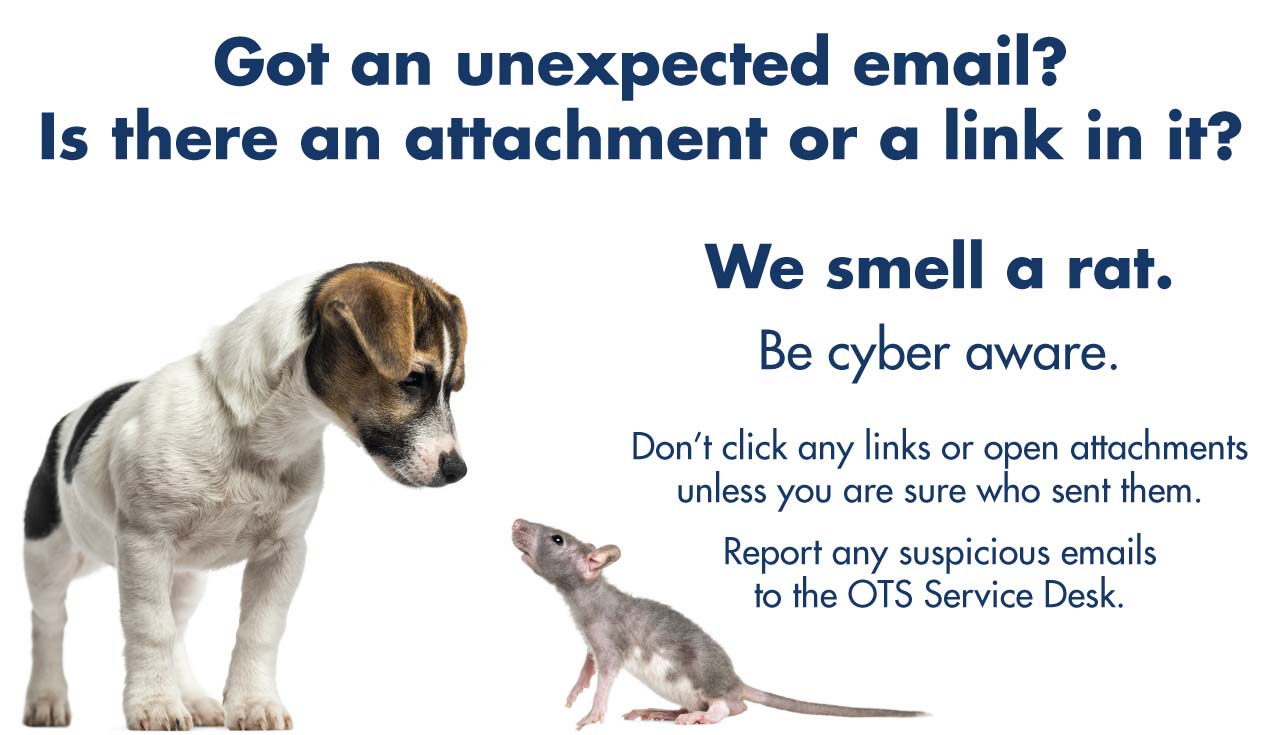 We smell a rat. Report suspicious email messages to the OTS Service Desk at 832.813.6600.