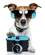 photo of a jack russell terrier wearing sunglasses and resting a paw on a camera