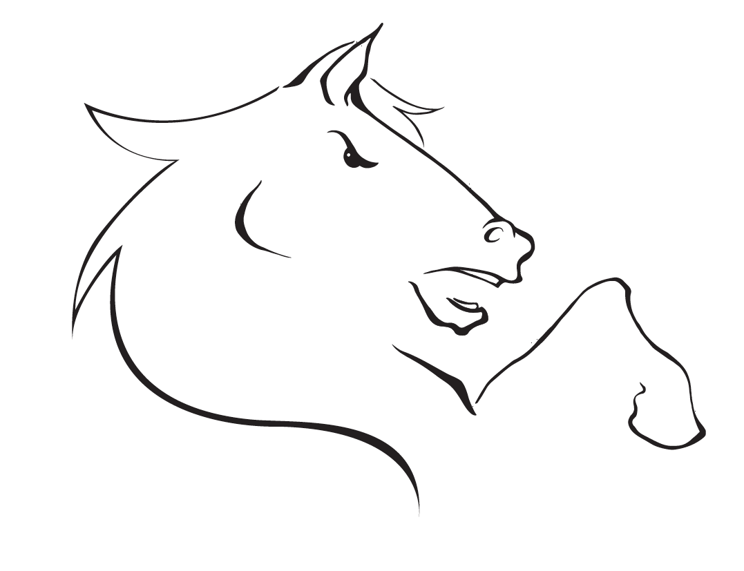 Maverick logo