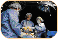 surgical tech students 1