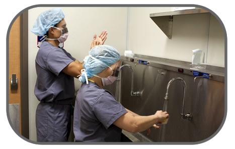 Picture of students scrubbing