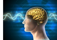 History, Psychology and Sociology Tutoring