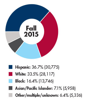 Image of Student Ethnicity Graph