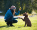 Dog Trainer