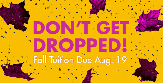 btc fall tutuion due