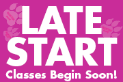 Late Start