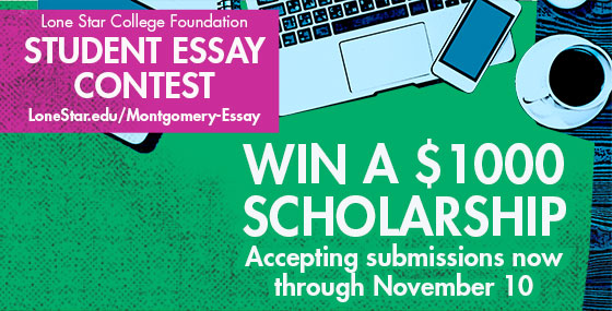 Student essay contests
