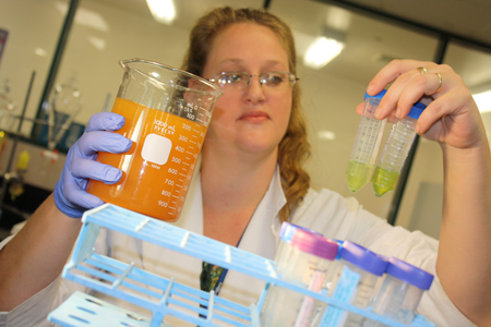 In just months, Michelle Coleman, an LSC-Montgomery graduate who now volunteers in the Biotechnology Institute, has seen results in the quest to remediate the brackish aquifer water (on left) using various strains of algae (on right).