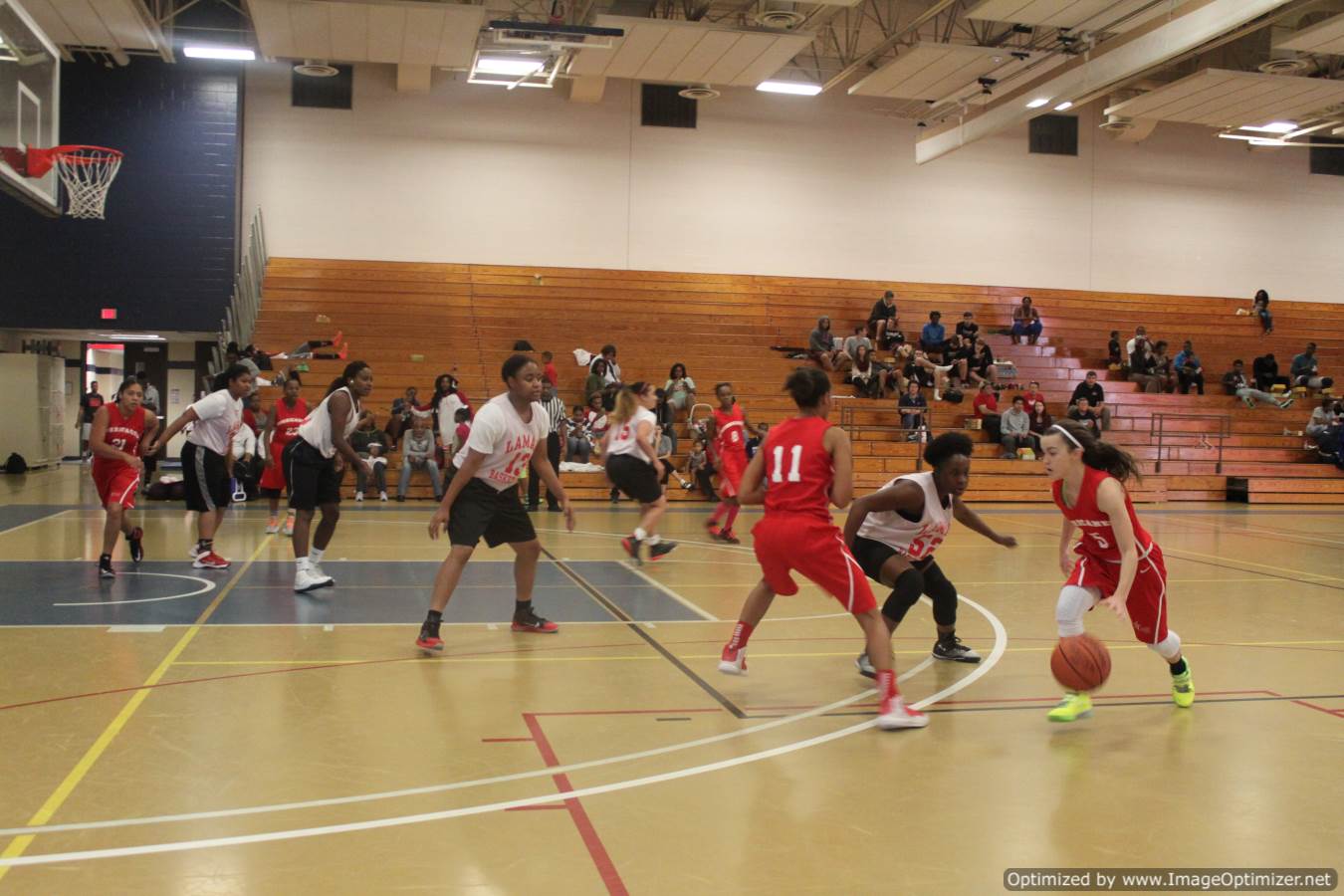 women-s-basketball-league