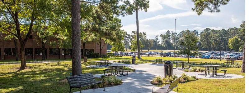 Collge Relations' path. 