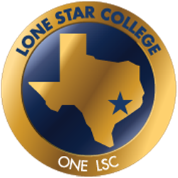 Texas graphic button