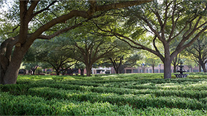 LSCT Maze