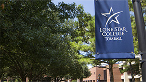 LSCT Blue Flag