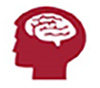 human head and brain icon