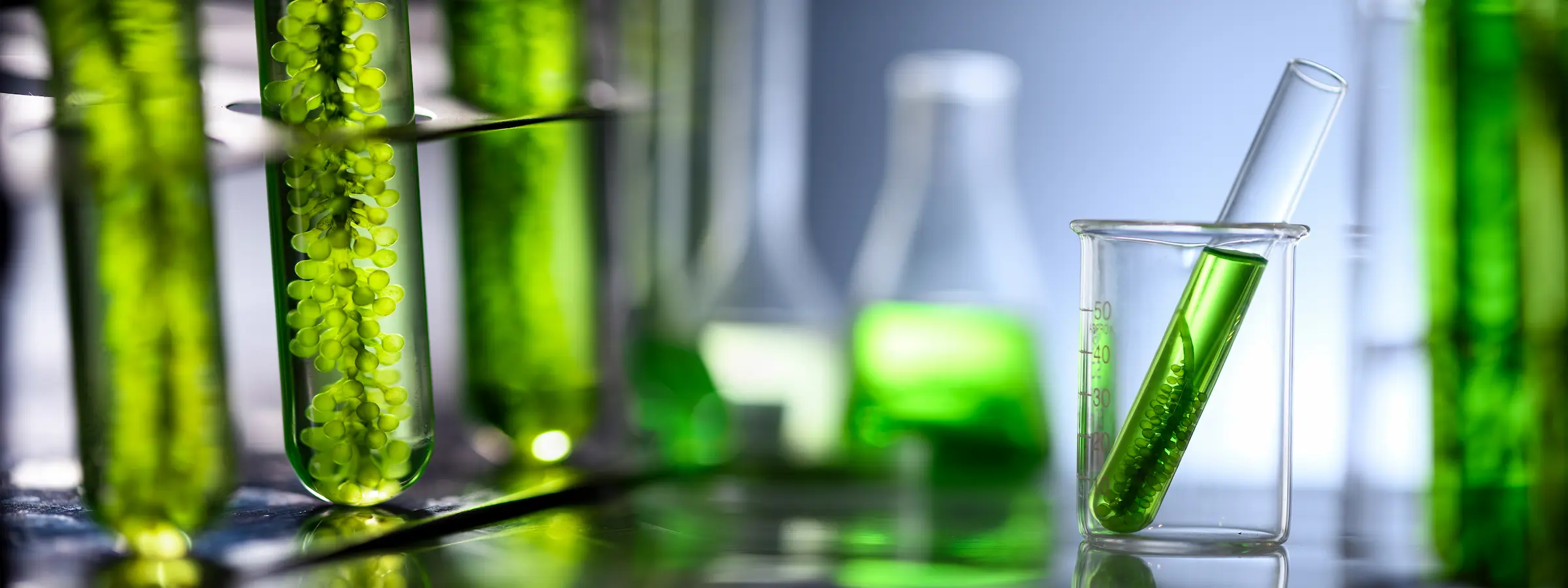 Biotechnology Program at LSC Montgomery