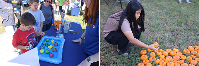 Img: Cy-Fest Photos