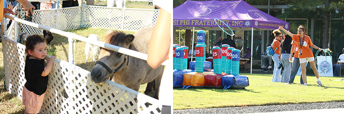 Img: Cy-Fest Photos