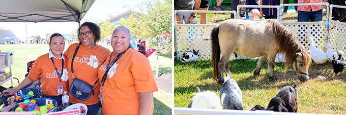 Img: Cy-Fest Photos