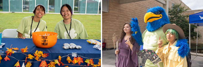 Img: Cy-Fest Photos