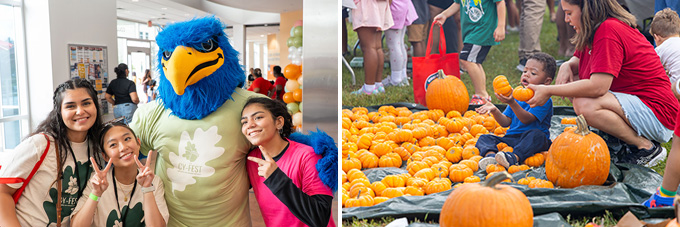 Img: Cy-Fest Photos