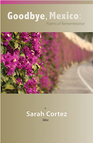 "Goodbye, Mexico" book cover
