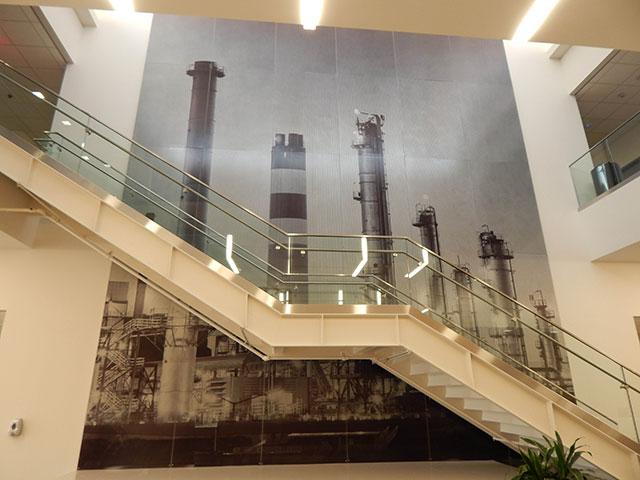 Staircase with Plant Background