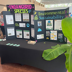 photo of two student poster projects