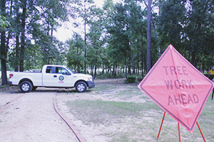 Tree Work Ahead sign