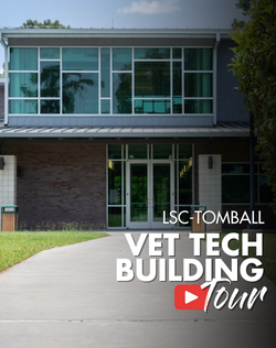 Click here to play the video of a tour of the Lone Star College-Tomball Vet Tech Building.