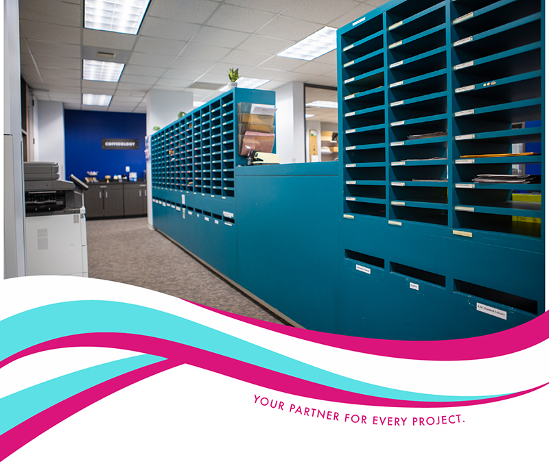 Rainbow wave graphic