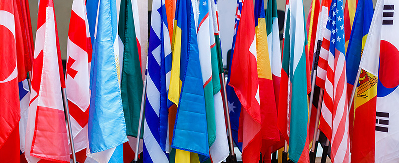 International Education Week - flags from many nations