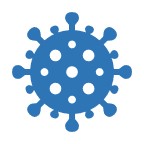 bacteria