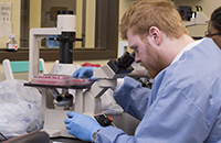 Biology student looking through a microscope