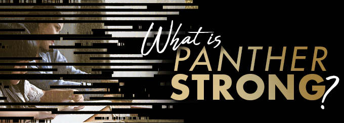 What is Panther Strong Decorative Banner 