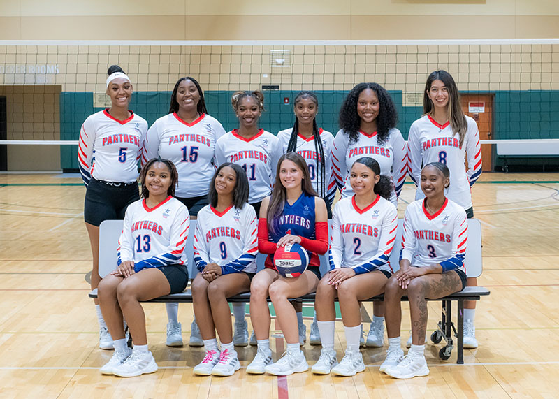 Image of volleyball team for lsc-houston north