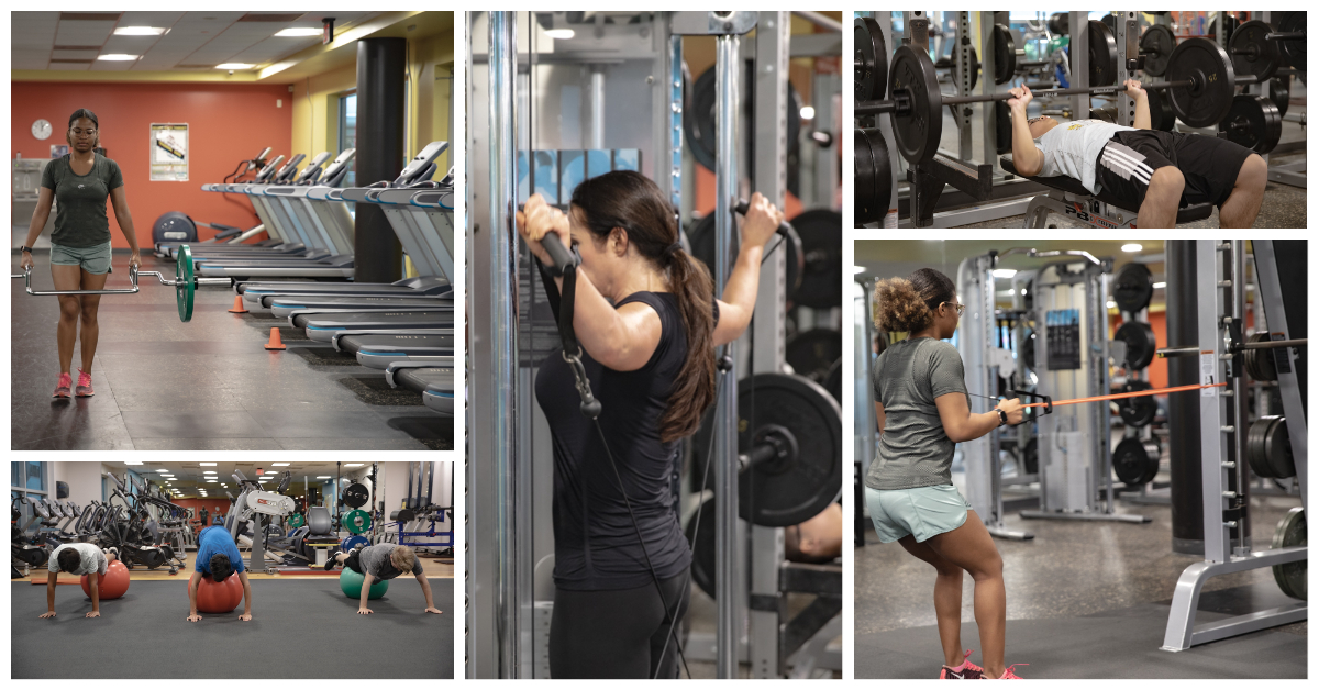 Photo Collage of Students During Kinesiology Class