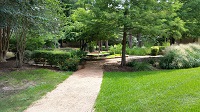 Outside study space in the Biology Pond