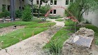 Outside study space Tom Hobbs Memorial