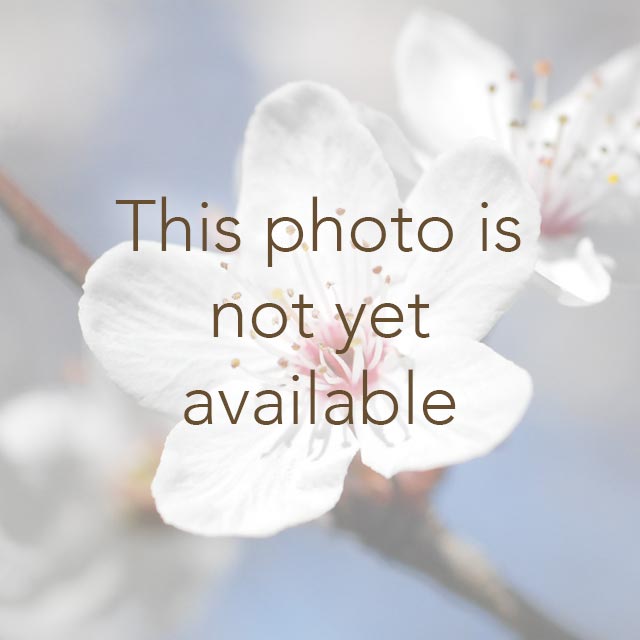 Photo of Melinda Becker
