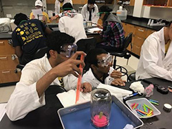 Students conducting experiments
