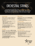 Orchestral Strings Flyer