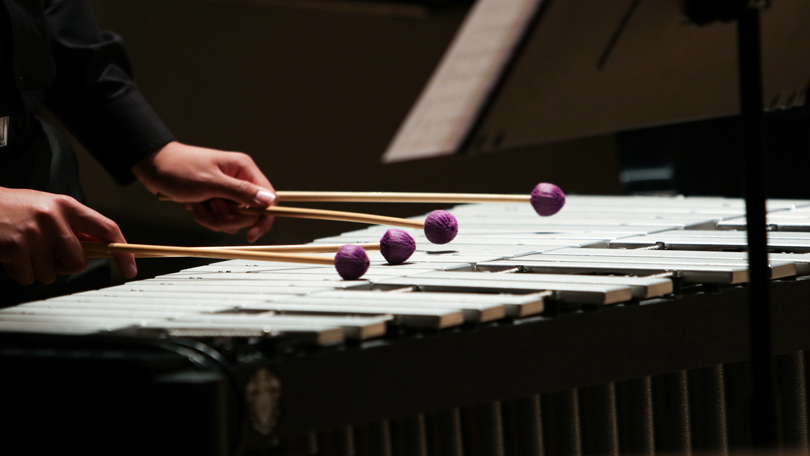 Person playing xylophone.